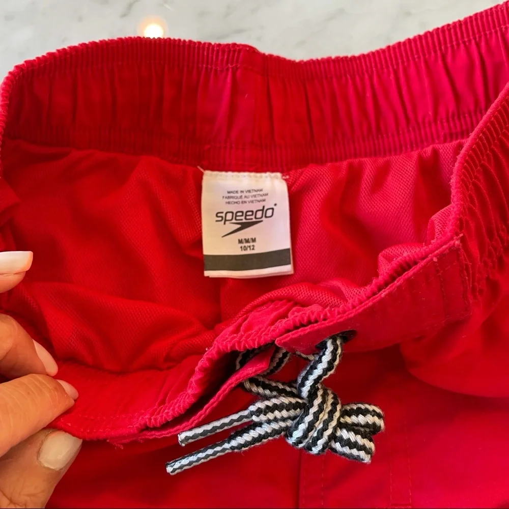 Boys Speedo Blocked Volley Swim Short